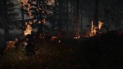 The Forest Те Форест — скриншот 3